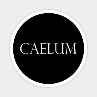 CAELUM Magnet